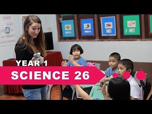 Year 1 Science, Lesson 26, Plant Parts We Eat