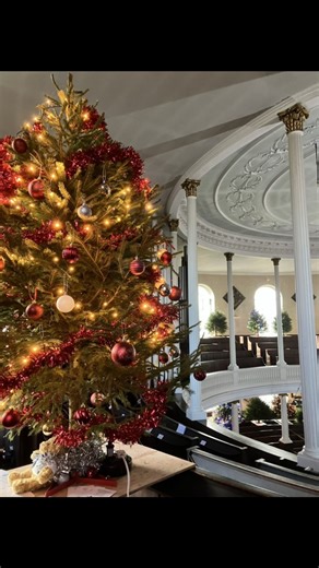 'The Christmas trees are a fabulous spectacle': Shrewsbury church to be 'ablaze with twinkling lights' as festival returns