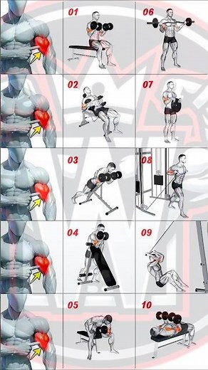 10 Best Biceps Exercises for Bigger Arms 💪 | Biceps Workout