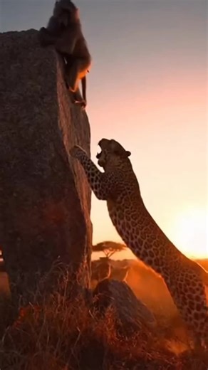 Predator Strikes Without Warning — Calm Scene Explodes 🐾💥#WildEncounter #animalinstinct #wildanimalsafari #ai