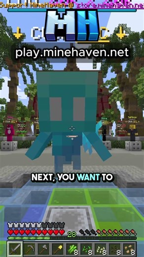 How to Get Started On The Public Survival SMP! (Bedrock and Java)