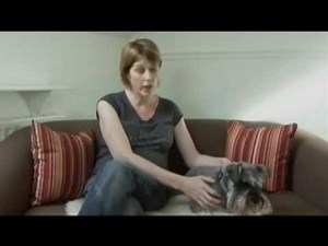 Caitlin Walsh healing testimonials