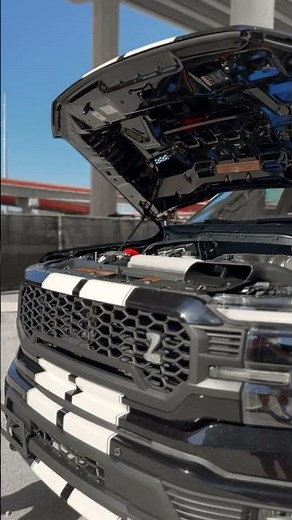 The Shelby F-150 Off-Road 🐍
