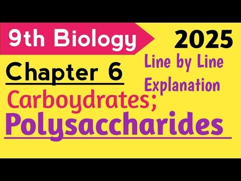 Polysaccharides | Class 9 Biology Chapter 6 New Book 2025