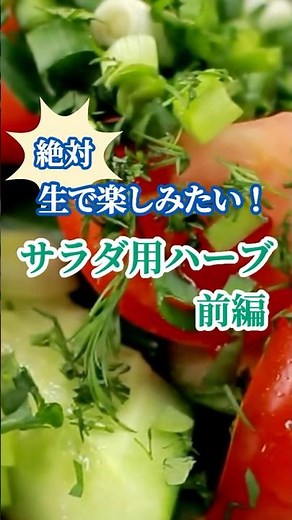 【1分で紹介】生で美味しい！サラダにおすすめのハーブ＜前編＞