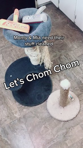 #chomchom to the rescue. If you own a pet you need a #chomchomroller linked in bio. Discount code danielle5 #cleantok #cleaningtiktok #foryoupage #cat