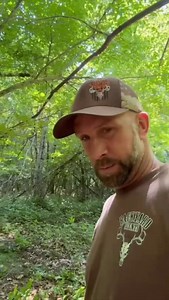 Setting up another licking branch and scrape!! Just drove by and did it! That easy when you have the best deer scents in the industry!!! Make sure to pick yours while supplies last!!! Link in bio • • • • #backyardscents #deerscents #scrape #lickingbranch #preseasonscents #rcmarketing | Backyard Scents