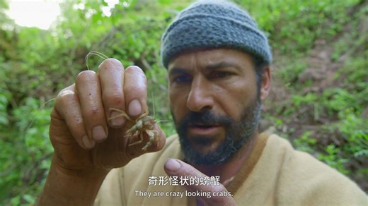 原始求生记：安地斯山脉