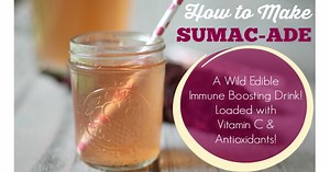 How To Make Sumac-ade made from Wild Edible Sumac