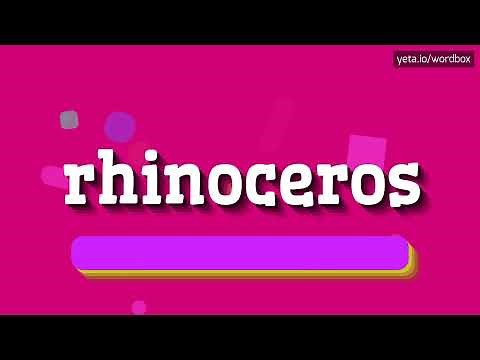 RHINOCEROS - HOW TO PRONOUNCE IT!?