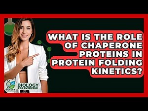 What Is The Role Of Chaperone Proteins In Protein Folding Kinetics? - Biology For Everyone