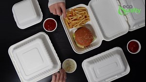 Compostable Square Hinged Clamshell Food Containers 6x6 - Heavy Duty Disposable to go Containers, Bagasse Fiber Biodegradable Containers with Lids for Takeout, Restaurants, Food Trucks (200)