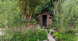 Rewilding the RHS Chelsea Flower Show