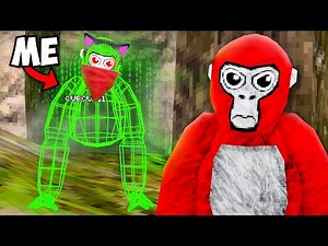 I Player Tracked EVERYONE In Gorilla Tag…