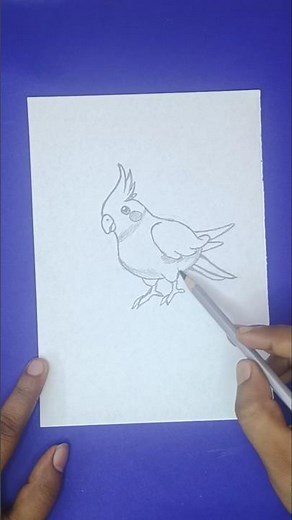Beautiful Parrot Pencil Sketch | Easy Drawing Step by Step🦜🦜 #drawing #viral #shortsfeed #yt