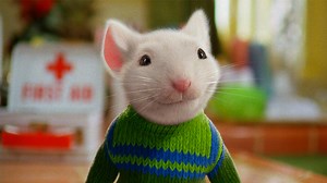Stuart Little | Know Your Meme