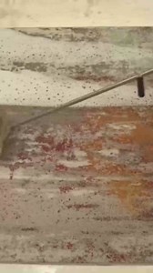 Mold and Algae Vanish in Epic Carpet Cleaning