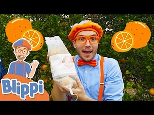 Blippi Visits an Orange Farm - Learning Fruits & Healthy Eating | Educational Videos For Kids - Videos For Kids
