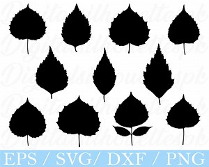 Birch Leaf Svg, Birch Leaf Silhouette, Dxf, Png - Etsy