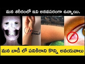 Top 8 Useless Body Parts That Humans No Longer Need in Telugu Badi | Vestigial Organs | Top 8 List