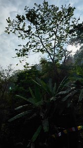 Raddi vayo ne guys swimming pool ma | Sanjok vlogs