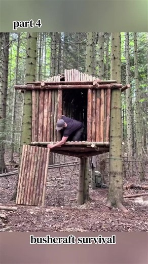 Building an Elevated Bushcraft Hut Predator Proof Forest Shelter #campgear #outdoorkids #campingfun #kidsadventures #creatorsearchinsights