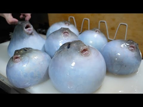 Is that a fish? I would like to teach you all how to prepare the mysterious spherical fish.