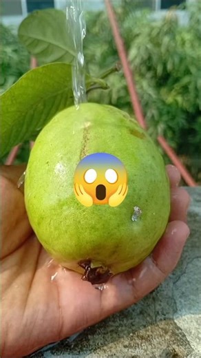 Delicious Mango Jam Recipe | Homemade Sweet Mango Preserve"