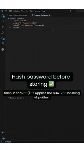 How Passwords Are Stored in Real Apps 🔐 | Python Hashing Explained