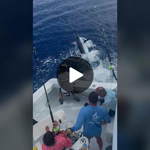 The Thrill of Sport Fishing: Catching Marlin Offshore