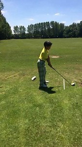 38K views · 131 reactions | Traditionally Sunday's training is with the driver and the rescue..... Honestly - I could have been better!  But mom is right - I am only 7 years old ...   | Gigi Rodrigues Opera | Facebook