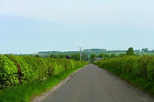 The great British hedge: A food bank, a windbreak and a flood defence