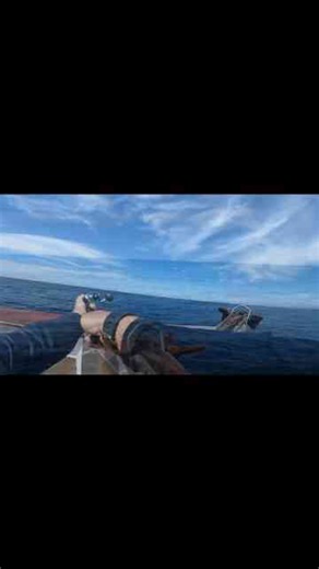 Chasing Giant Tuna off San Diego’s Coast!