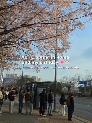 Spring in Korea & Birthday in April 🌼🎂