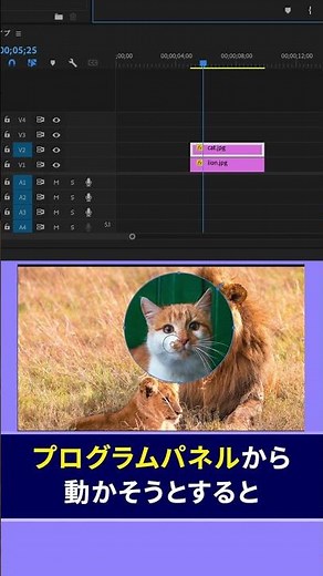 テレビ番組でよく見る簡単なワイプの作り方【Premiere Pro/プレミアプロ チュートリアル】