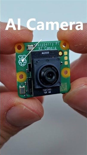 Identifying Birds in my Backyard with a Raspberry Pi!