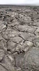 Check out our EPIC day on Kailani Tours Hawaii's Deluxe Volcano Experience! These clips from our Instagram stories (@spicyperspectiv) show lava tubes, steam vents, and fiery craters!! 🌋 #Volcanotour #Kilauea #Kona #bigisland #Hawaii | A SPICY PERSPECTIVE