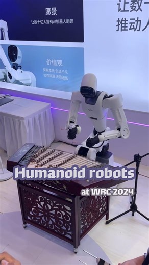 16K views · 166 reactions | These humanoid robots can walk, dance, and play musical instruments! What else can they do? Find the answer at the 2024 World Robot Conference just concluded in Beijing. #WRC2024 #robot #viral #China #HumanoidRobotics | China Xinhua News | Facebook