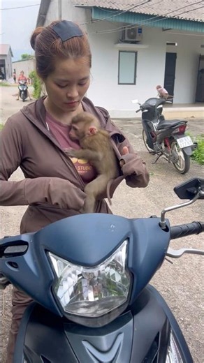 The baby monkey always wants to run after its mother.