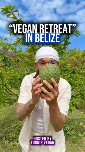 This Vegan retreat in jungle of Belize hosted by Turnip Vegan was nothing less than amazing. The breakfast was buffet style every morning, lunch and dinner was served like clock work & the community of great people I got the opportunity to meet and connect with was 🔥 It was a great way to reset & cut off all distractions going on in the 🌎 s/o to the best chef in Belize chef Tanya Alfaro SHE’S LITERALLY THE GOAT 🐐 I think I’ll be going to the next one too 🙏🏾🙌🏾🌴 | Casinoo Crisis