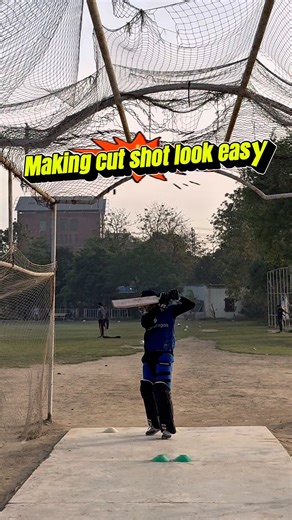 Perfect Cut Shot in 13 Seconds #cricket #technique #shorts