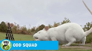 ODD SQUAD: THE MOVIE | Ginormouse | PBS KIDS