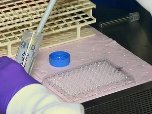 Cell-based Flow Cytometry Assay to Measure Cytotoxic Activity