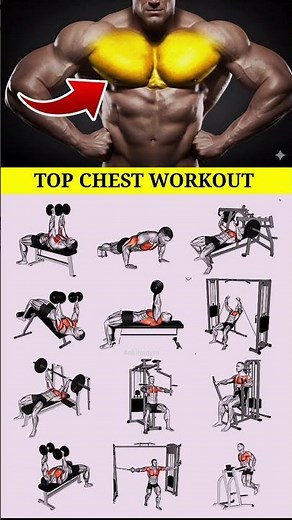 12 Different Types of Chest Exercises 💪 | Complete Chest Workout for Muscle Growth