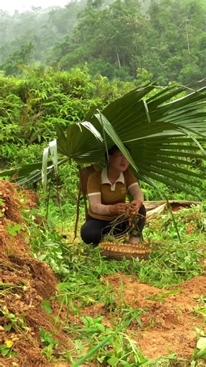 Peanut Harvesting and Processing Techniques