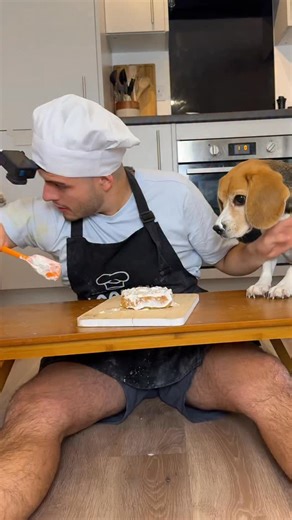 6.8M views · 68K reactions | Dad was making monkey noises in this episode 藍 We almost had NOTHING LEFT to give at the end, luckily the humans managed to save a teeny tiny bit for the official taste test (not like they haven’t taste tested throughout)  #cookingwithbeagles #beaglesofinstagram #dog #beagle #funnydog #viralvideos #viral #dogsofig #dogs | Beagles Kiki & Koko | Facebook