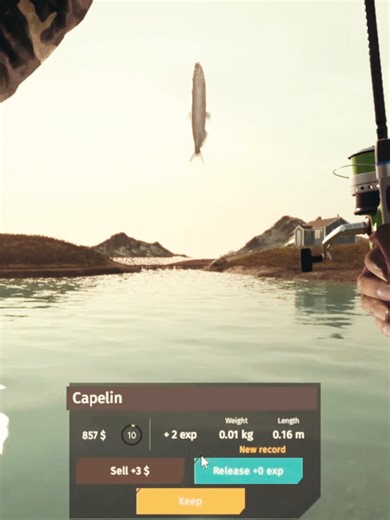 How to catch Capelin at Greenland | Ultimate Fishing Simulator | (Hook #12, Artificial Eggs, Location 6, Dakino DXP Spinning Rod, Okena-K-03x, Okena FL-532 Line)