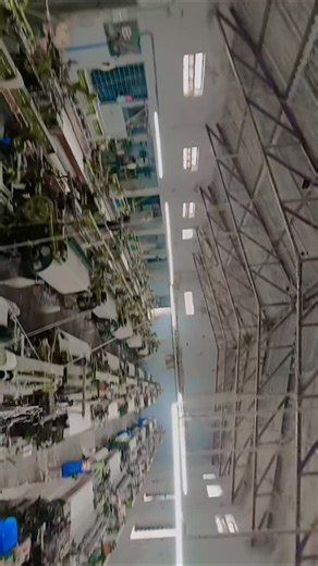 jitankumar on Instagram: "Operator Ham bhi karte Hain"