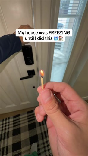 Love this alien seal for the winter