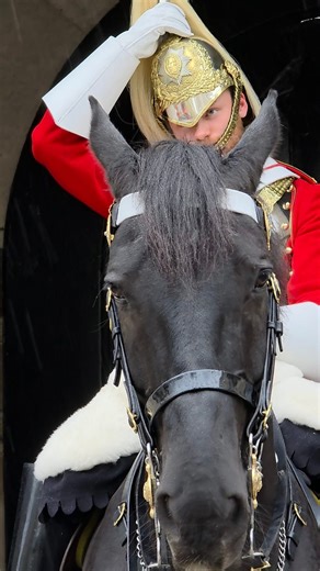 Honouring the Life Guards and His Gorgeous Horse on Duty at Horse Guards on a rainy day in London, yesterday ❤️ 🇬🇧 #LifeGuards #HorseGuards #fblifestyle | At Horse Guards
